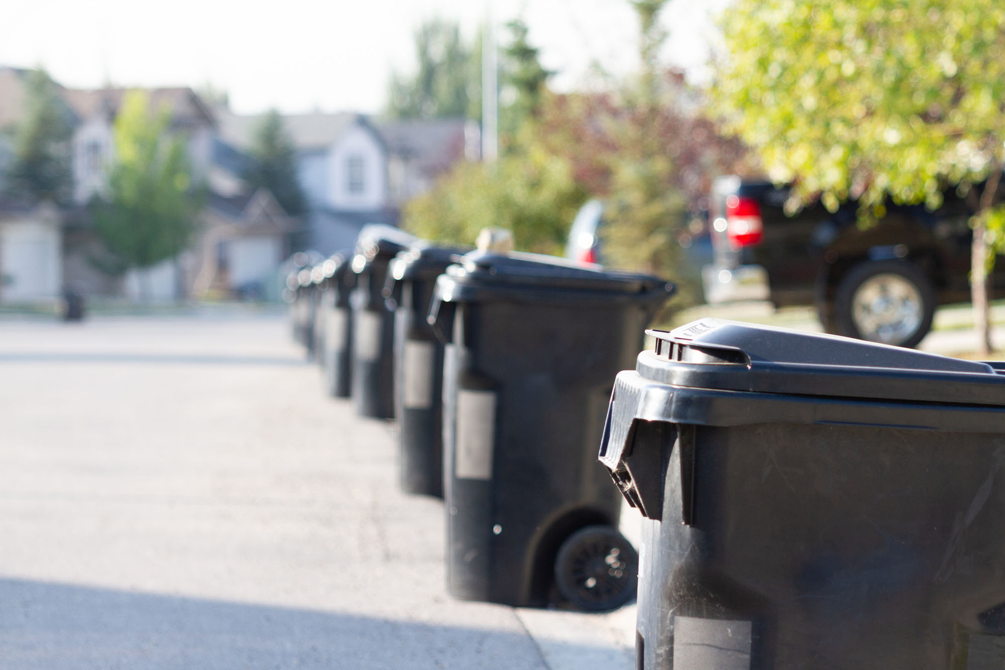 Garbage bins for collection on city street